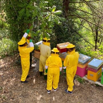 Nuovi apicoltori crescono nel Comune di Parrano