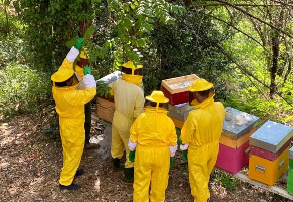 Nuovi apicoltori crescono nel Comune di Parrano