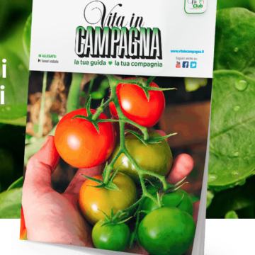 La Rete Comuni Amici delle Api sbarca sulla rivista “Vita in Campagna”
