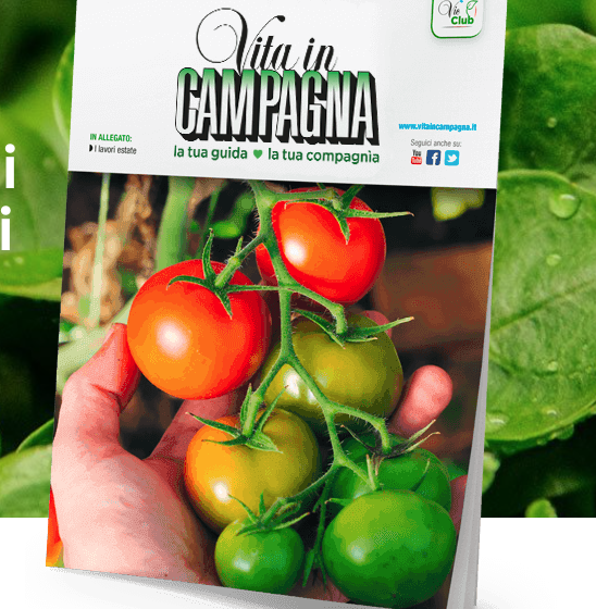 Schermata 2021-01-15 alle 11.55.28 La Rete Comuni Amici delle Api sbarca sulla rivista “Vita in Campagna”