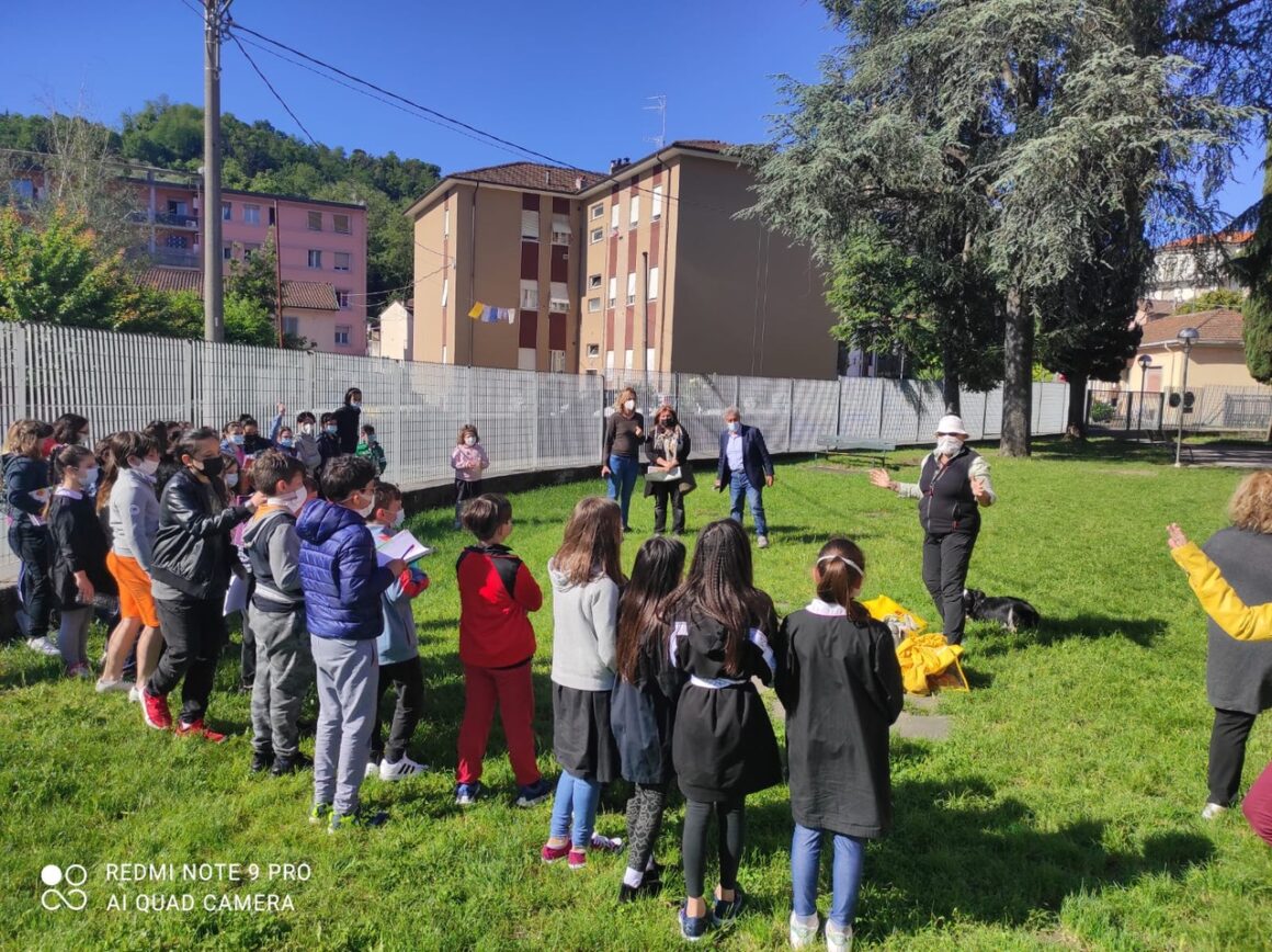 Le api entrano a scuola!