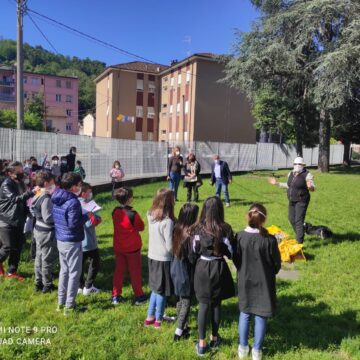 Le api entrano a scuola!