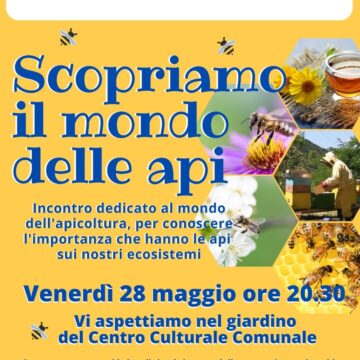 SCOPRIAMO IL MONDO DELLE API