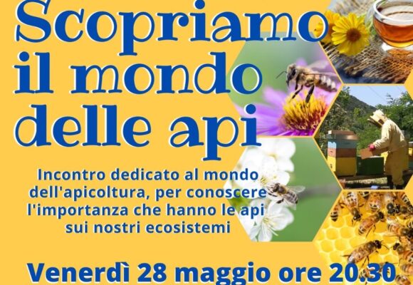 SCOPRIAMO IL MONDO DELLE API