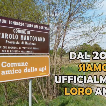 Il nuovo video che presenta la strada delle Api costituita a Rivarolo mantovano (MN) nell’ambito del progetto ADA Comuni Amici delle Api