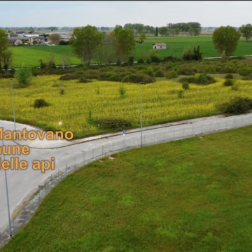 Rivarolo Mantovano: il campo delle api