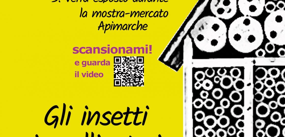 Apimarche 2021 – Comune di Montelupone