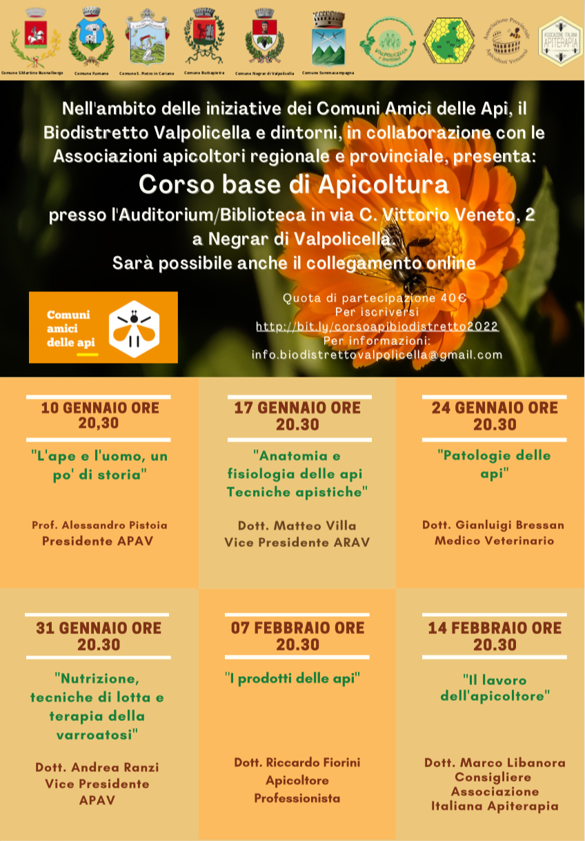 Corso pittura Api