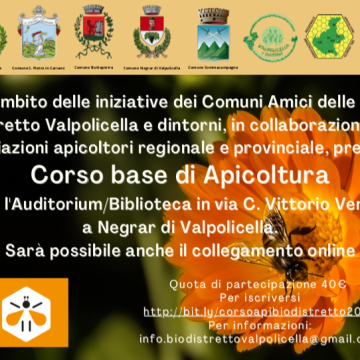 In partenza il nuovo corso base per apicoltori promosso dai vari Comuni amici delle Api della Val Policella e dintorni