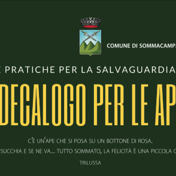 Decalogo per le api – Comune di Sommacampagna