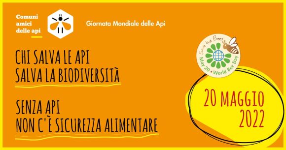 Giornata mondiale delle api 2022, perché e come possiamo proteggere gli impollinatori