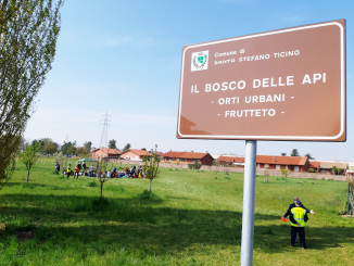 Giornata di educazione ambientale sull’importanza che le api hanno sull’ecosistema