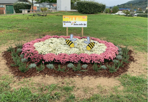 Progetto di realizzazione due rotatorie e un’aiuola con piante amiche delle api Aree fiorite per le api in via Garibaldi e via Ponte alla Marina