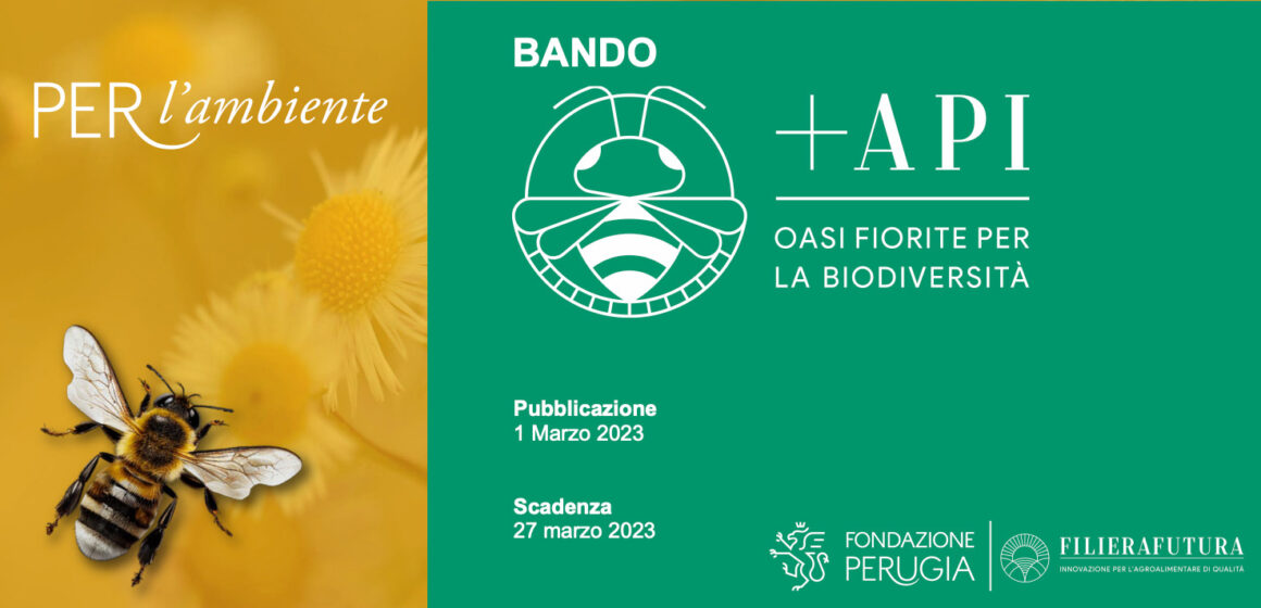 Aperto il bando Api+ promosso da Fondazione Perugia e Filiera Futura