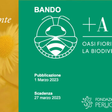 Aperto il bando Api+ promosso da Fondazione Perugia e Filiera Futura
