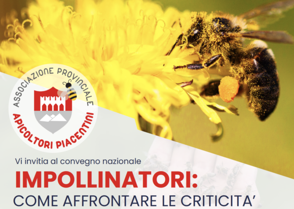 IMPOLLINATORI: COME AFFRONTARE LE CRITICITA’