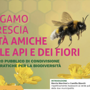 Evento finale Progetto: ‘Bergamo e Brescia città amiche delle api e dei fiori’