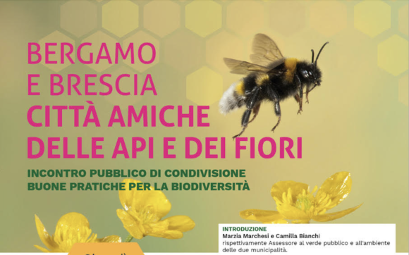 Evento finale Progetto: ‘Bergamo e Brescia città amiche delle api e dei fiori’