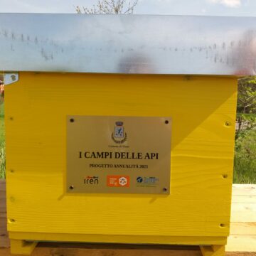 Comune di Viano: I campi delle api