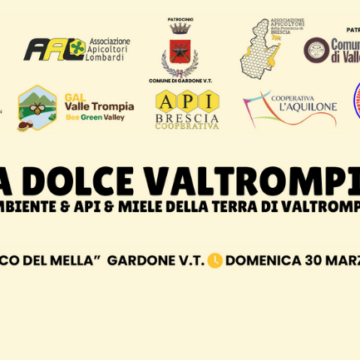 La dolce Valtrompia: Ambiente & Api & Miele della terra di Valtrompia