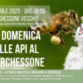 La domenica delle api al Barchessone