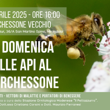 La domenica delle api al Barchessone