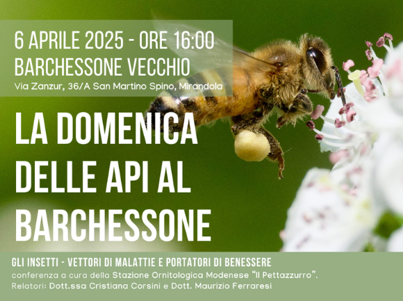 La domenica delle api al Barchessone